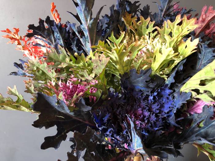 きらきら農業女子