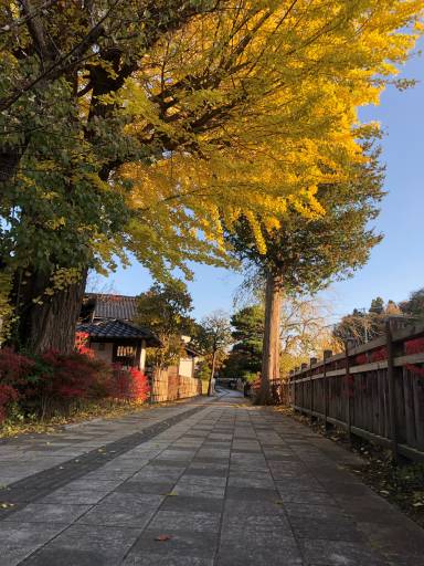ぶらっと、歩きたくなる
